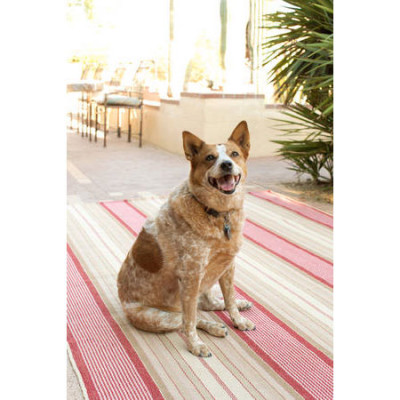 Framboise Woven Cotton Rug